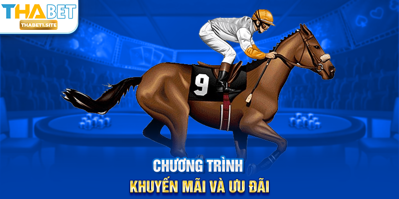 Chương trình khuyến mãi và ưu đãi