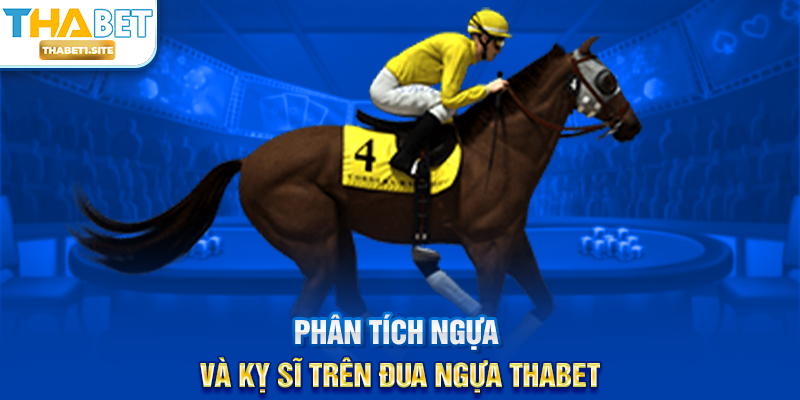 Phân tích ngựa và kỵ sĩ trên Đua Ngựa THABET